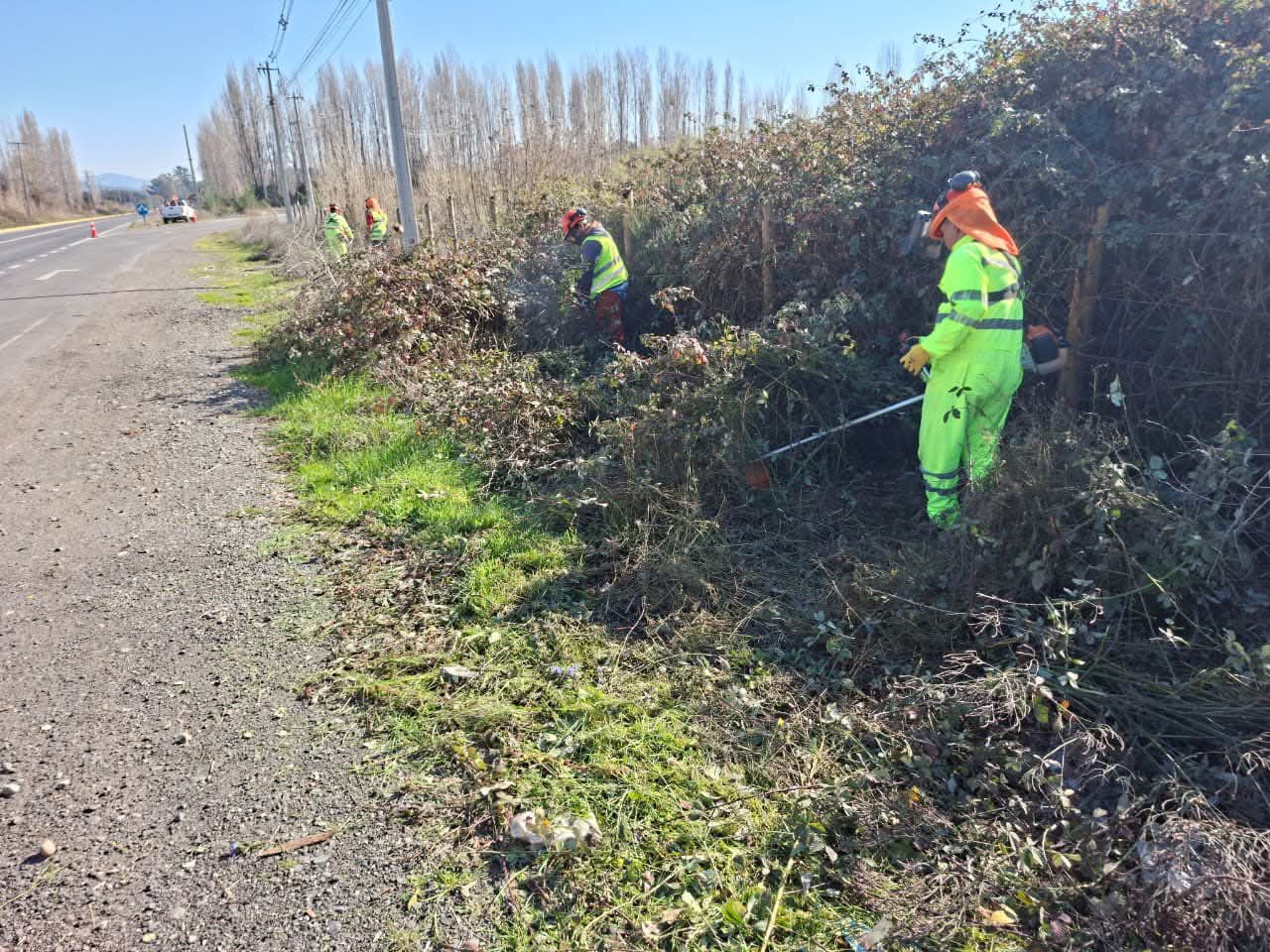 Refuerzan trabajos preventivos en rutas de Ñuble ante llegada del invierno